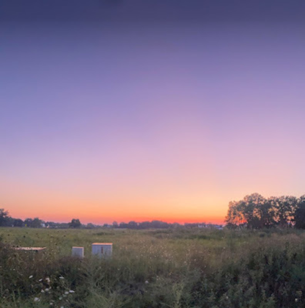 Meet your Posher, Nxgwideswing